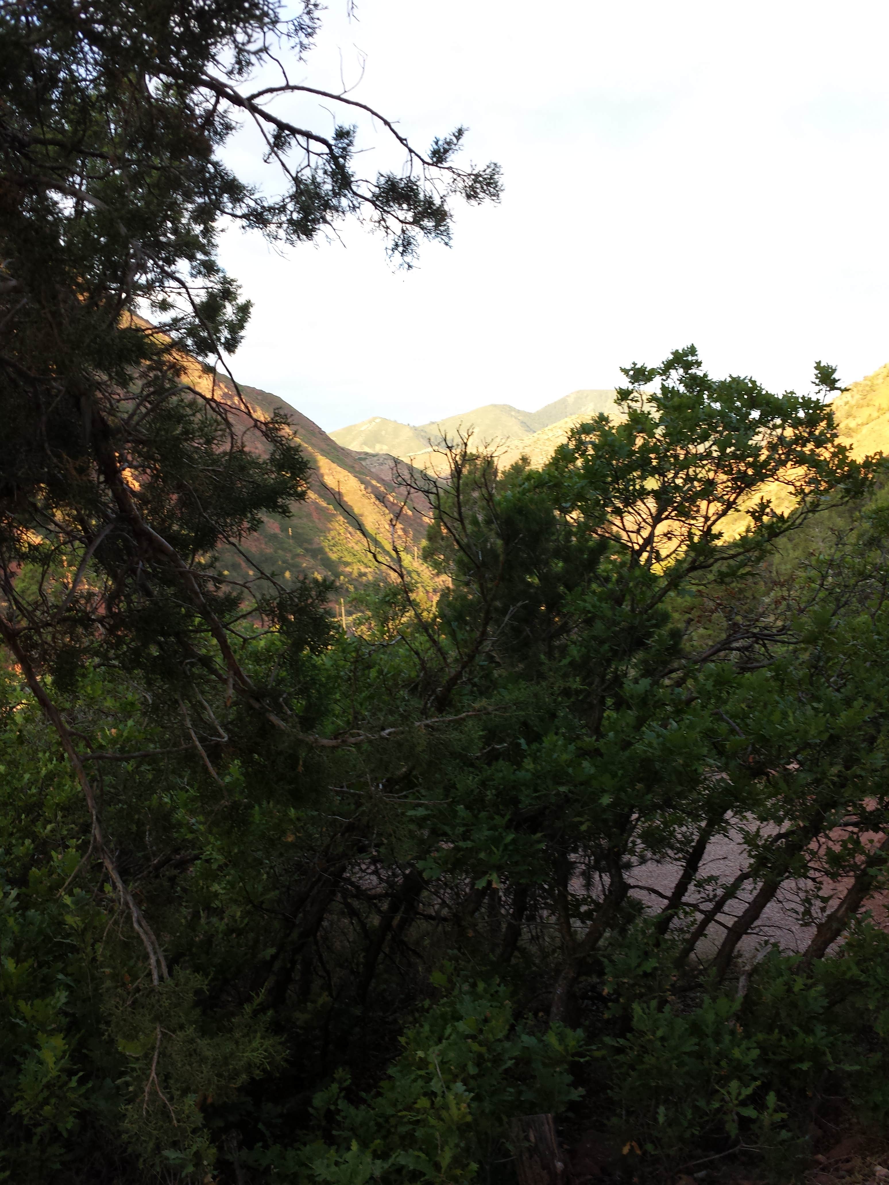 Camper-submitted photo at Hermits Hollow Campground — Hermit Park near Hygiene, CO