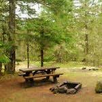 Review photo of McNeil Campground by bruce W., June 6, 2018