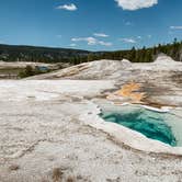 Review photo of The Hibernation Station by Matthew D., June 3, 2021