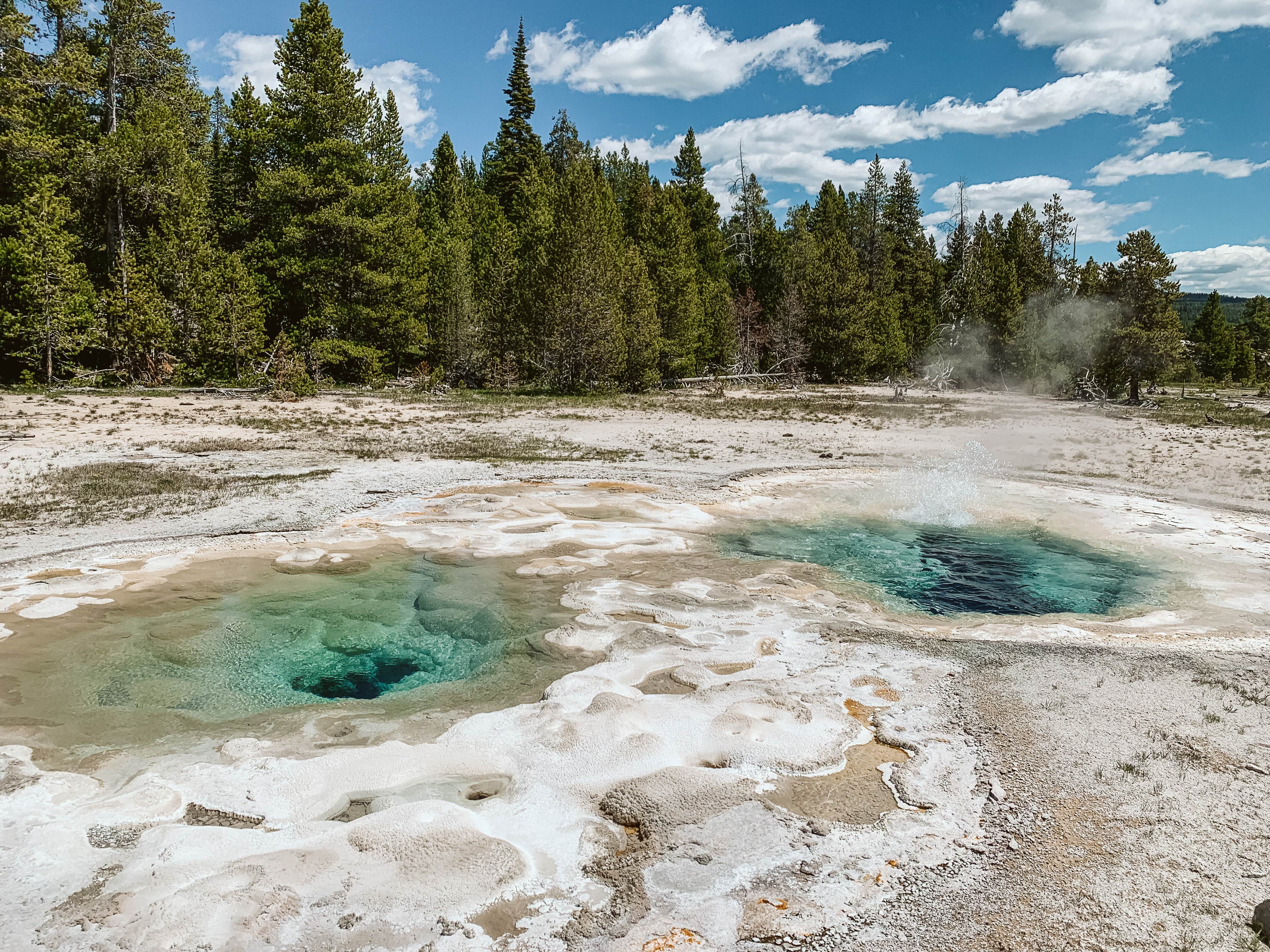 Camper-submitted photo at The Hibernation Station near West Yellowstone, MT