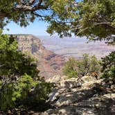 Review photo of Trailer Village RV Park — Grand Canyon National Park by Milagros B., June 3, 2021