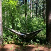 Review photo of Kettle Moraine South Camping — Kettle Moraine State Forest-Southern Unit by Bill M., June 3, 2021