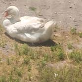 Review photo of Prado Regional Park by Sara H., June 3, 2021