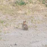 Review photo of Prado Regional Park by Sara H., June 3, 2021