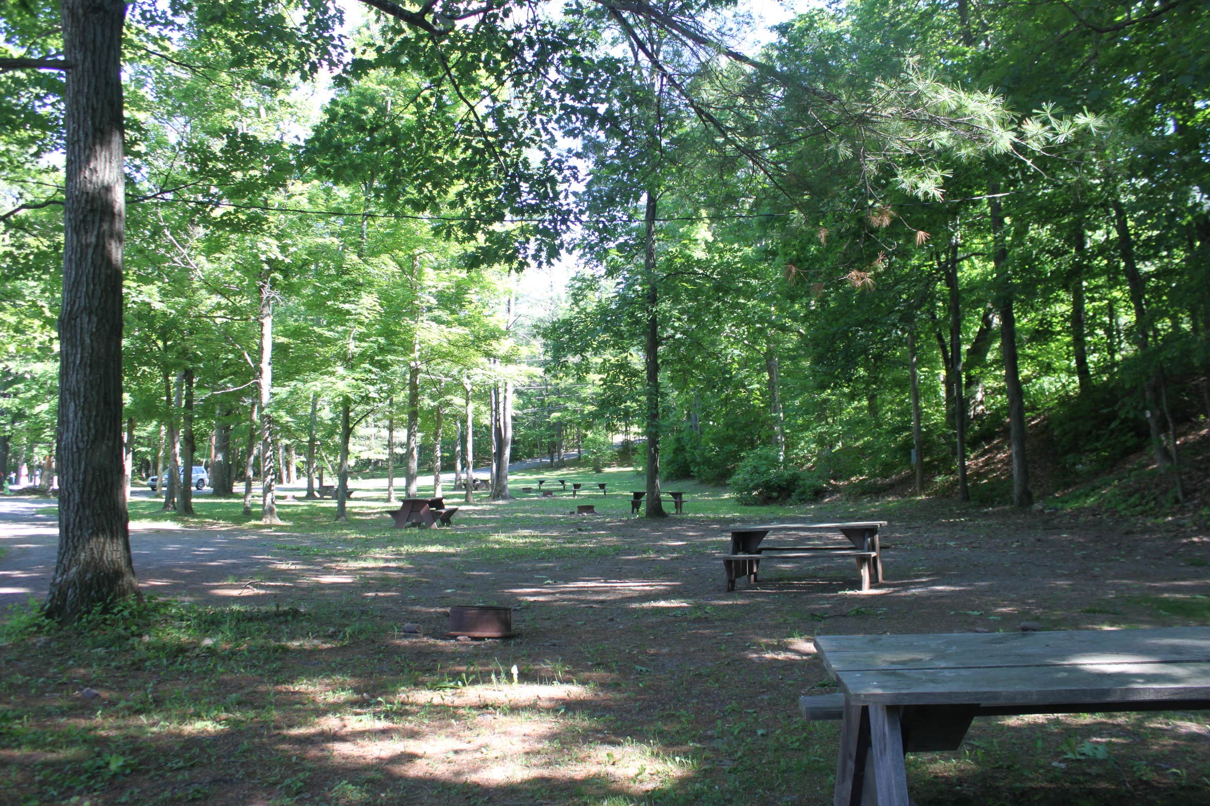 Camper-submitted photo at Whip O Will Campsites near Ashland, NY