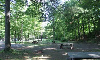 Camping near Camp Catskills: Whip O Will Campsites , Round Top, New York