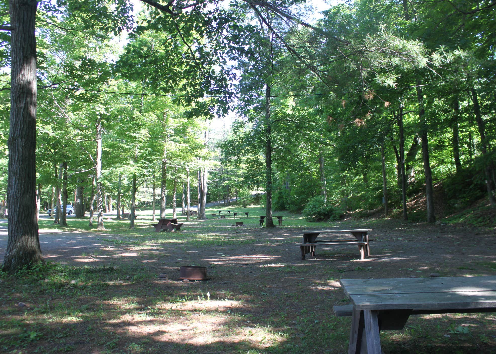 Whip O Will Campsites Camping The Dyrt