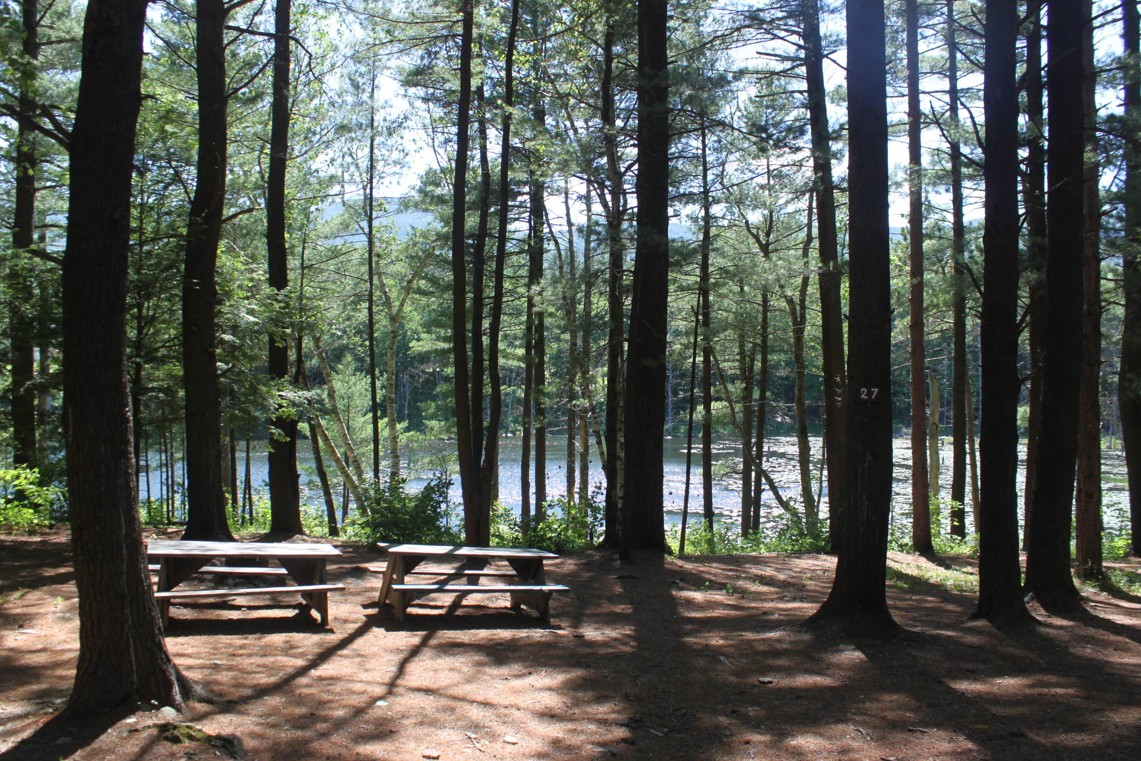 Camper-submitted photo at Whip O Will Campsites near Ashland, NY