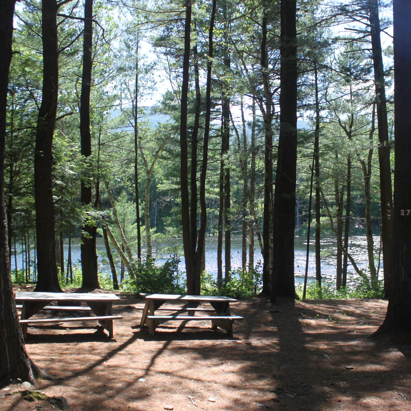 Whip O Will Campsites Camping The Dyrt