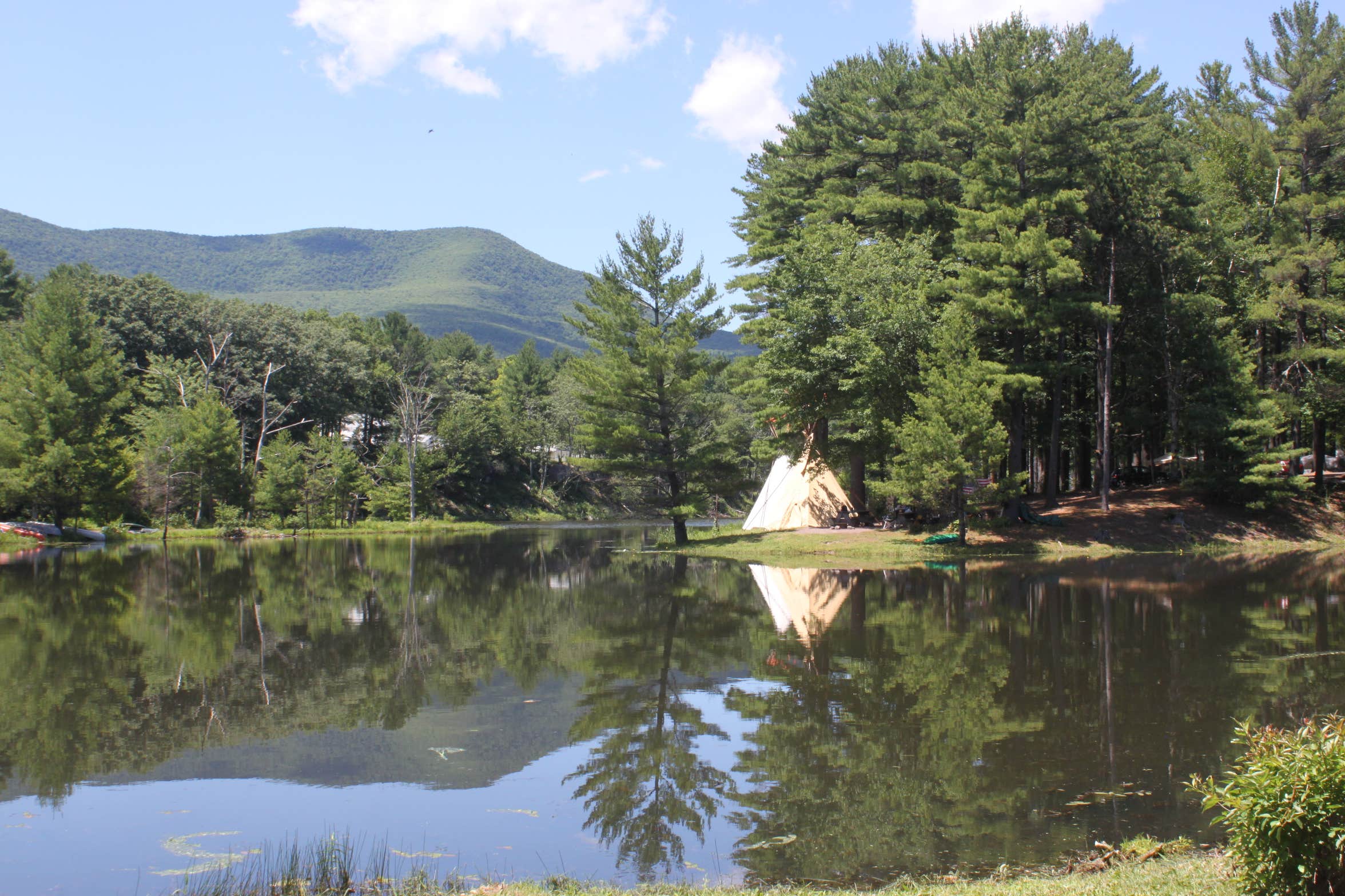 Camper-submitted photo at Whip O Will Campsites near Ashland, NY