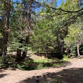 Review photo of Dispersed Camp near Sequoia National Park by Erica C., June 1, 2021