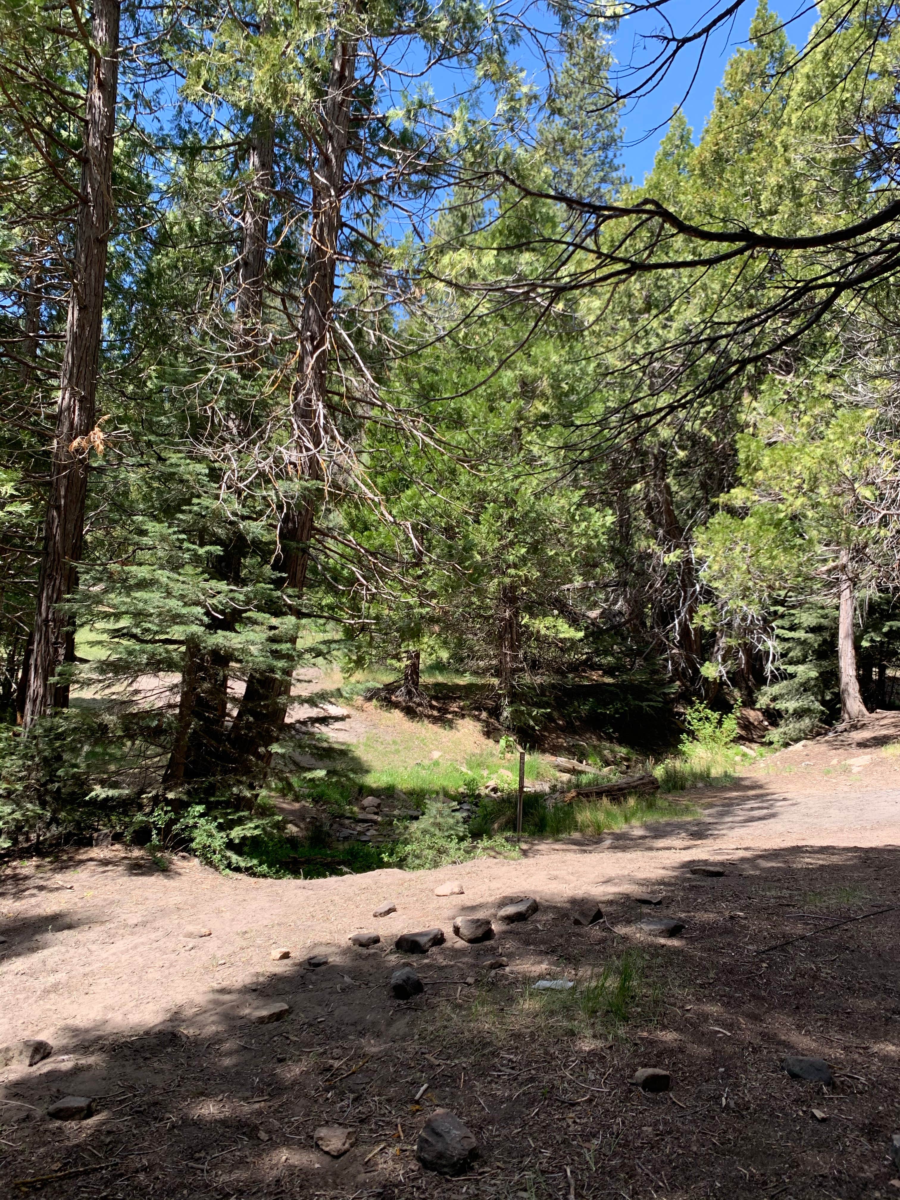 Camper submitted image from Dispersed Camp near Sequoia National Park - 2