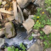 Review photo of Dispersed Camp near Sequoia National Park by Erica C., June 1, 2021