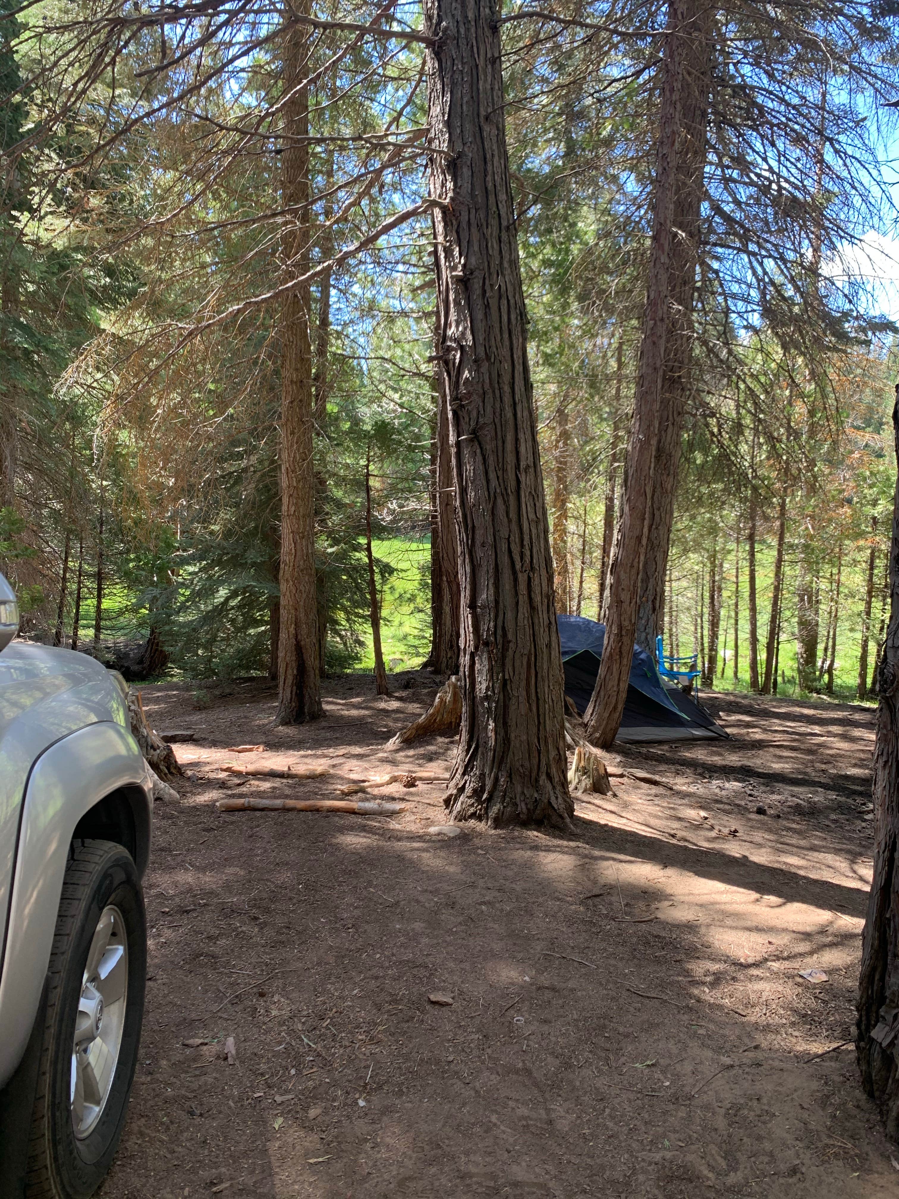 Erica C.'s photo at Dispersed Camp near Sequoia National Park near Johnsondale, CA