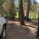 Review photo of Dispersed Camp near Sequoia National Park by Erica C., June 1, 2021