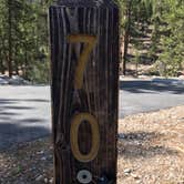 Review photo of McWilliams Campground by sunshine M., June 3, 2021