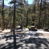 Review photo of McWilliams Campground by sunshine M., June 3, 2021