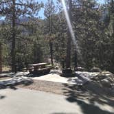 Review photo of McWilliams Campground by sunshine M., June 3, 2021