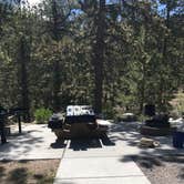 Review photo of McWilliams Campground by sunshine M., June 3, 2021