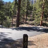 Review photo of McWilliams Campground by sunshine M., June 3, 2021