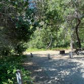 Review photo of Pfeiffer Big Sur State Park Campground by Alma L., June 4, 2021