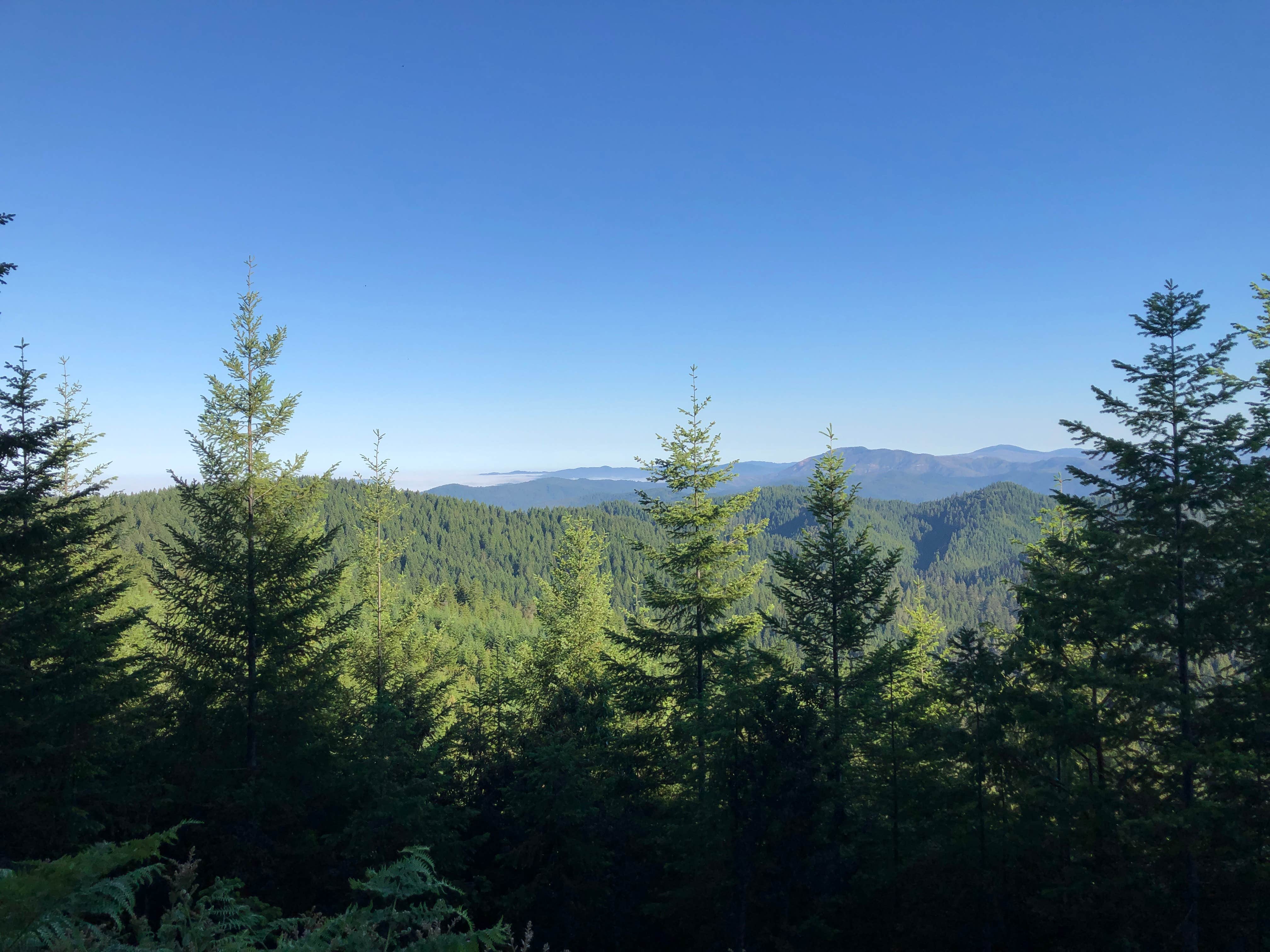Camping near Winchuck Campground: North Fork Campground, Gasquet, California
