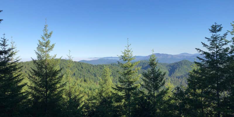 Camper submitted image from North Fork Campground