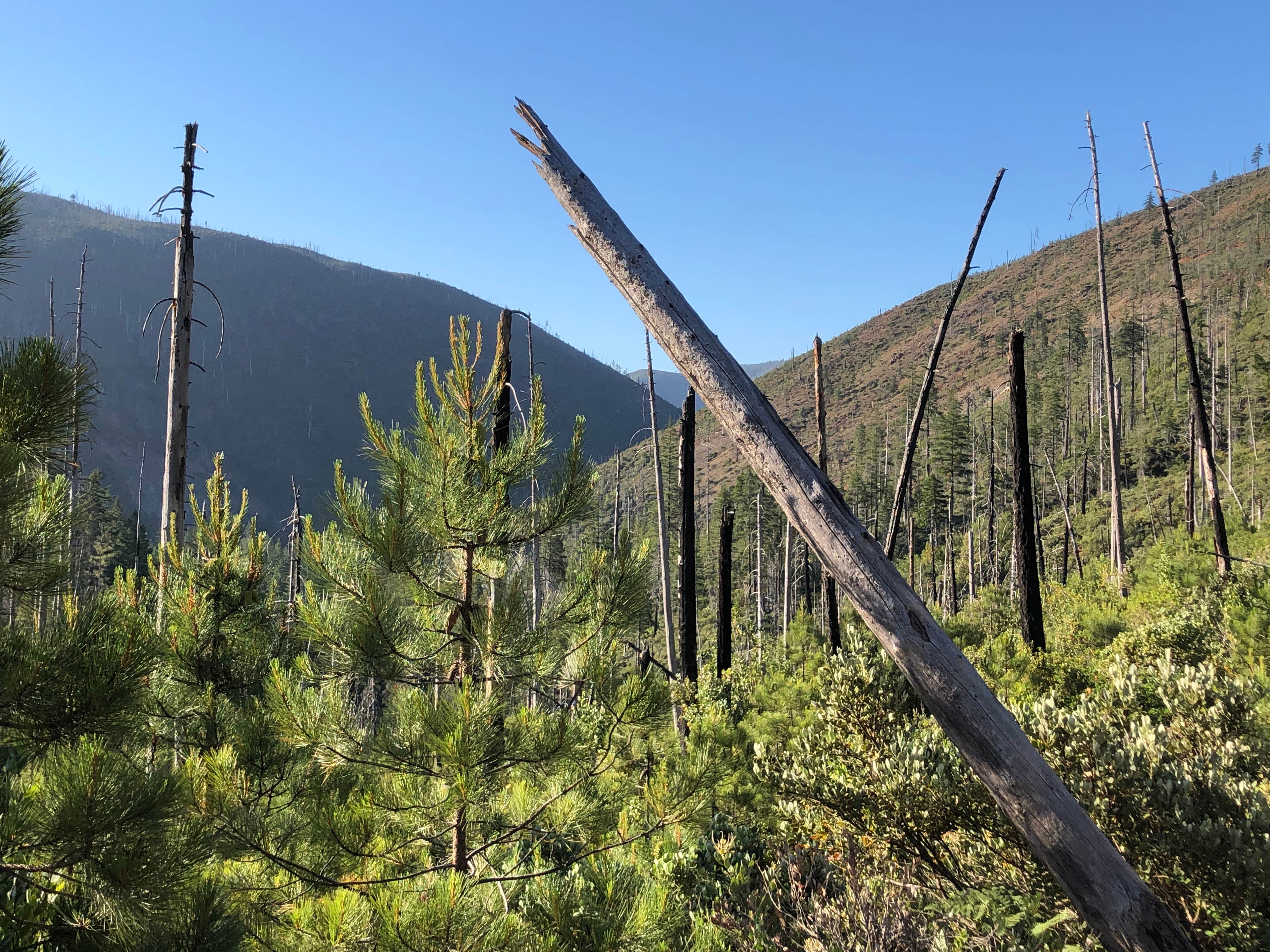 Camper-submitted photo at North Fork Campground near Fort Dick, CA