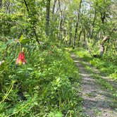 Review photo of Sakatah Trail Campground by Blair , June 4, 2021