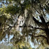 Review photo of Campground at James Island County Park by Megan M., June 4, 2021