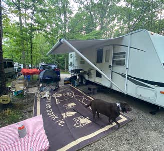 Camper-submitted photo from Corbin - Laurel Lake KOA