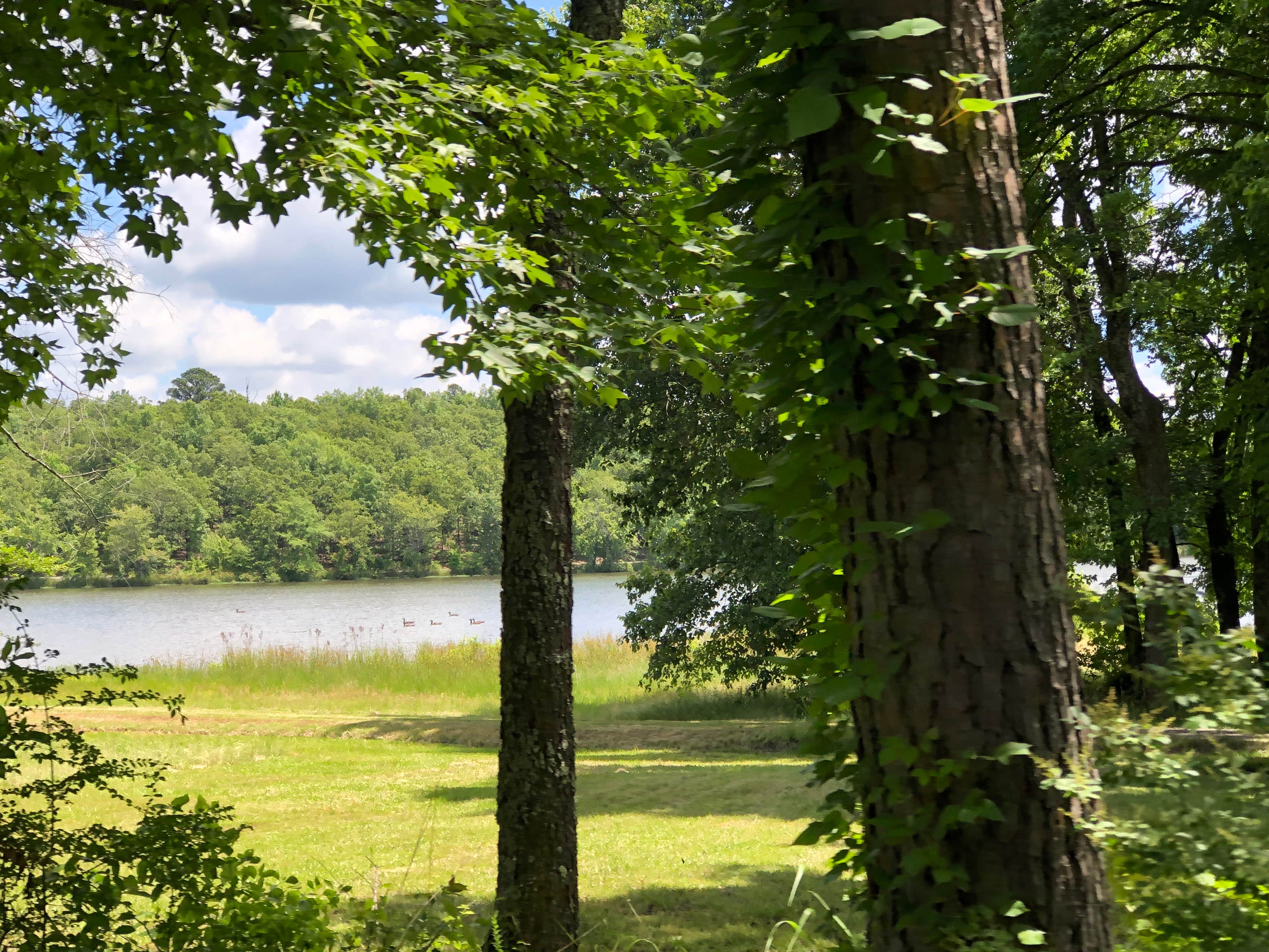 Camper-submitted photo at Camp Robinson RV Park near Arkansas River - Pool 3