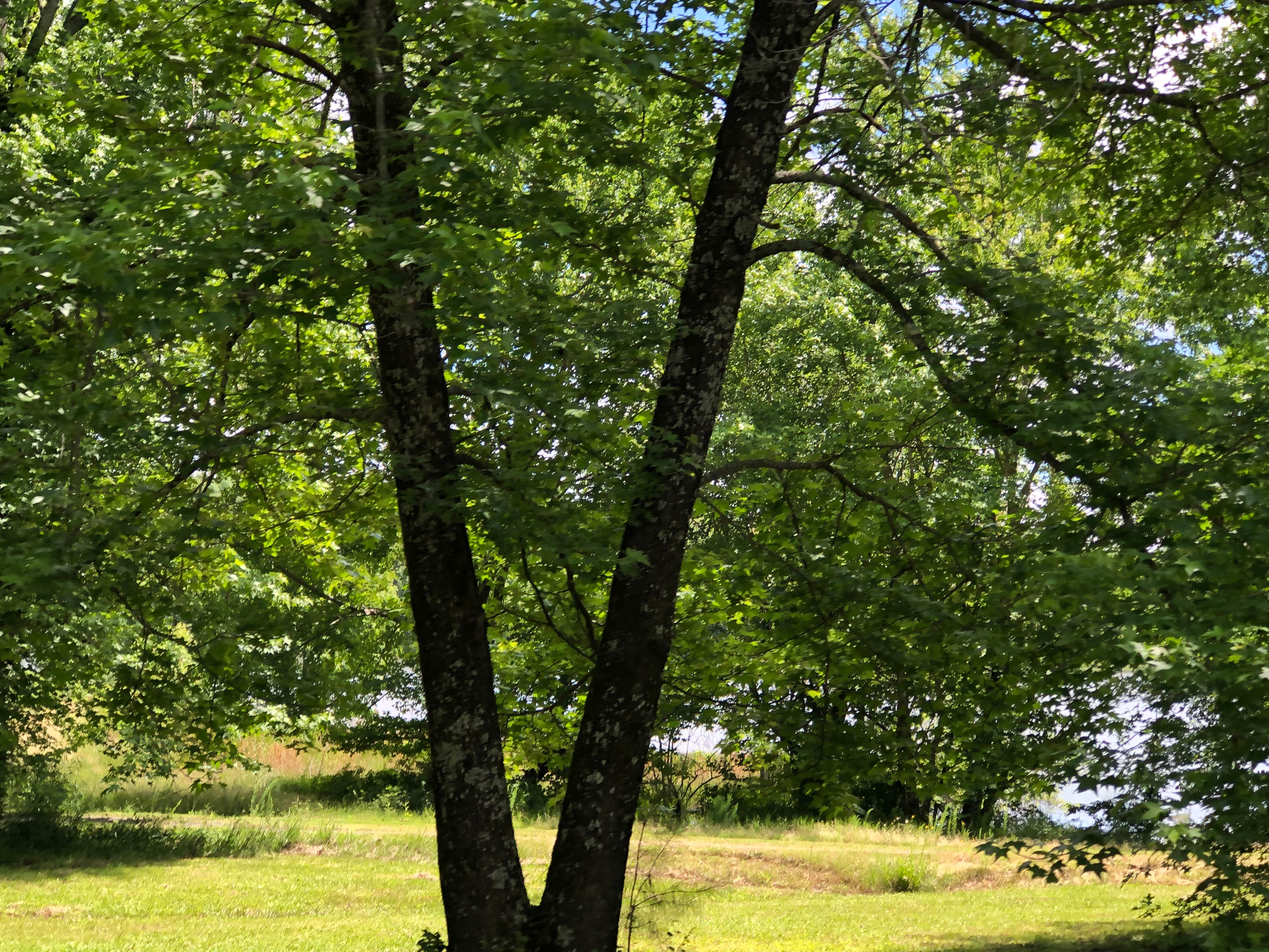 Camper-submitted photo at Camp Robinson RV Park near Arkansas River - Pool 3