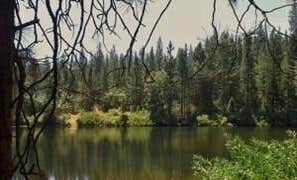 Camping near Dorabelle Campground: Summer Fun Campground, Auberry, California