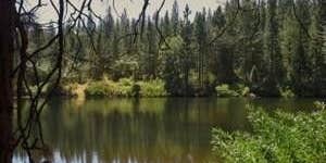 Camper submitted image from Summer Fun Campground