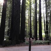 Review photo of Burlington Campground — Humboldt Redwoods State Park by Lai La L., June 7, 2018