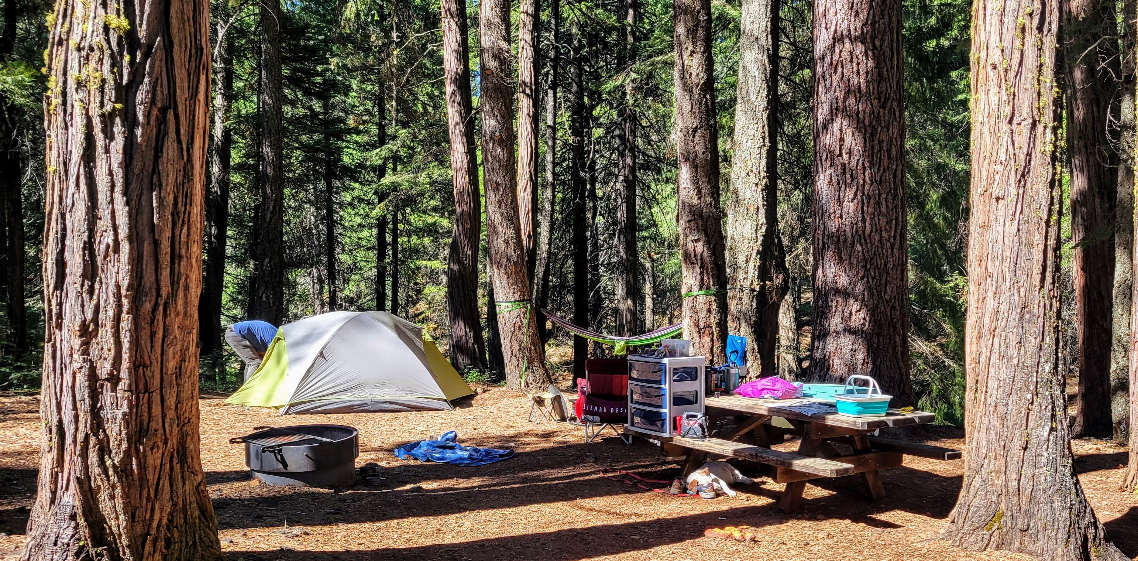 Camper-submitted photo at McCumber Reservoir Campground near Whitmore, CA