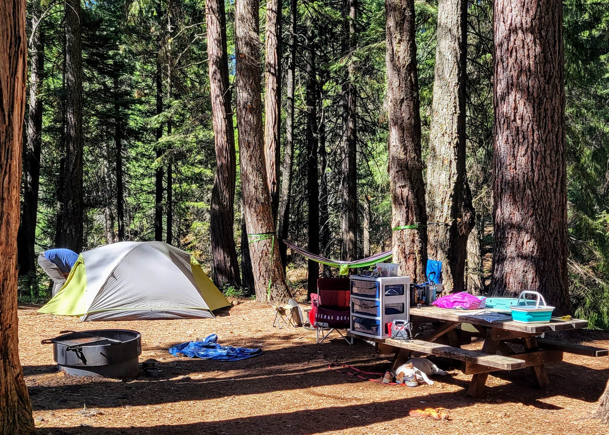 McCumber Reservoir Campground Camping | Shingletown, CA | The Dyrt