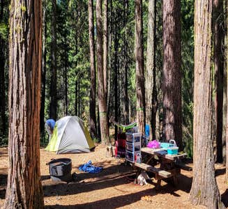 Camper-submitted photo from McCumber Reservoir Campground