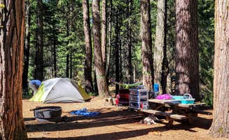 Julie D.'s photo of tent camping at McCumber Reservoir Campground near Burney, CA