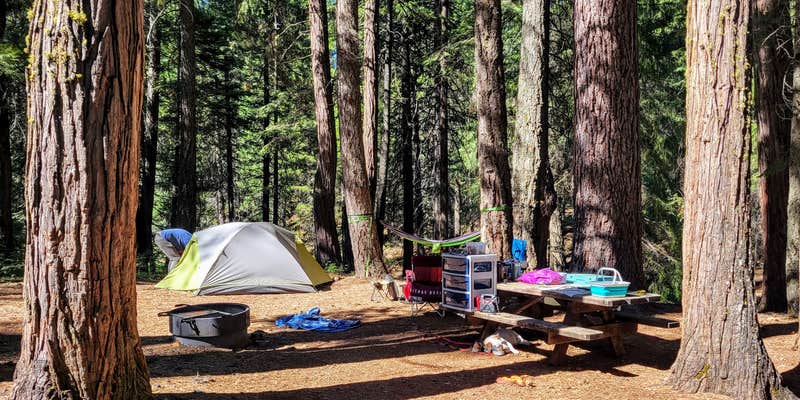 Camper submitted image from McCumber Reservoir Campground