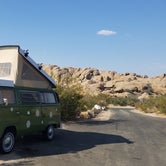 Review photo of Jumbo Rocks Campground — Joshua Tree National Park by Amelia F., June 4, 2021