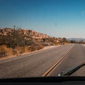 Review photo of Jumbo Rocks Campground — Joshua Tree National Park by Amelia F., June 4, 2021