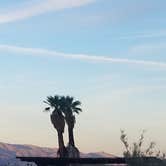 Review photo of Borrego Palm Canyon Campground — Anza-Borrego Desert State Park by Amelia F., June 4, 2021