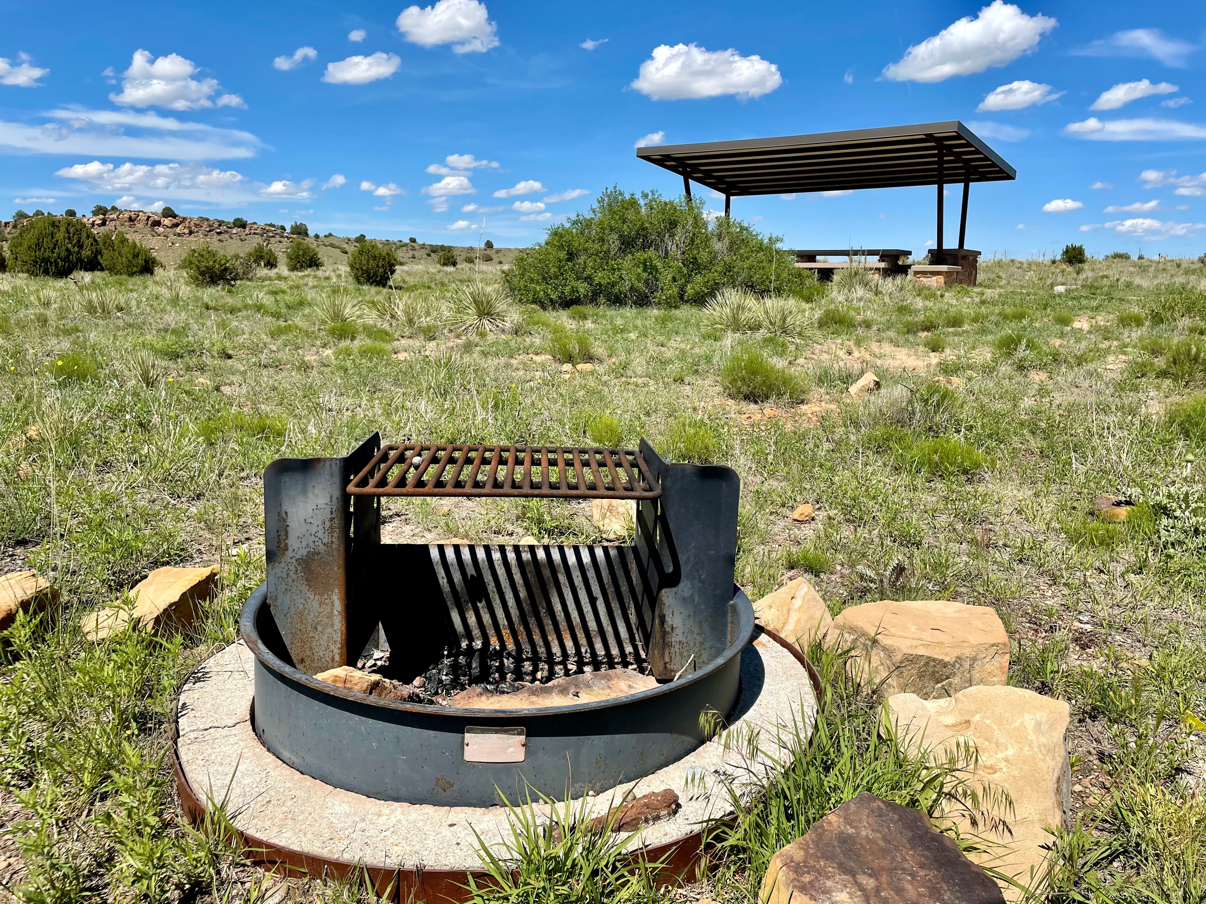 Camper submitted image from Carizzo Canyon Picnic Area, Comanche National Grassland - 3