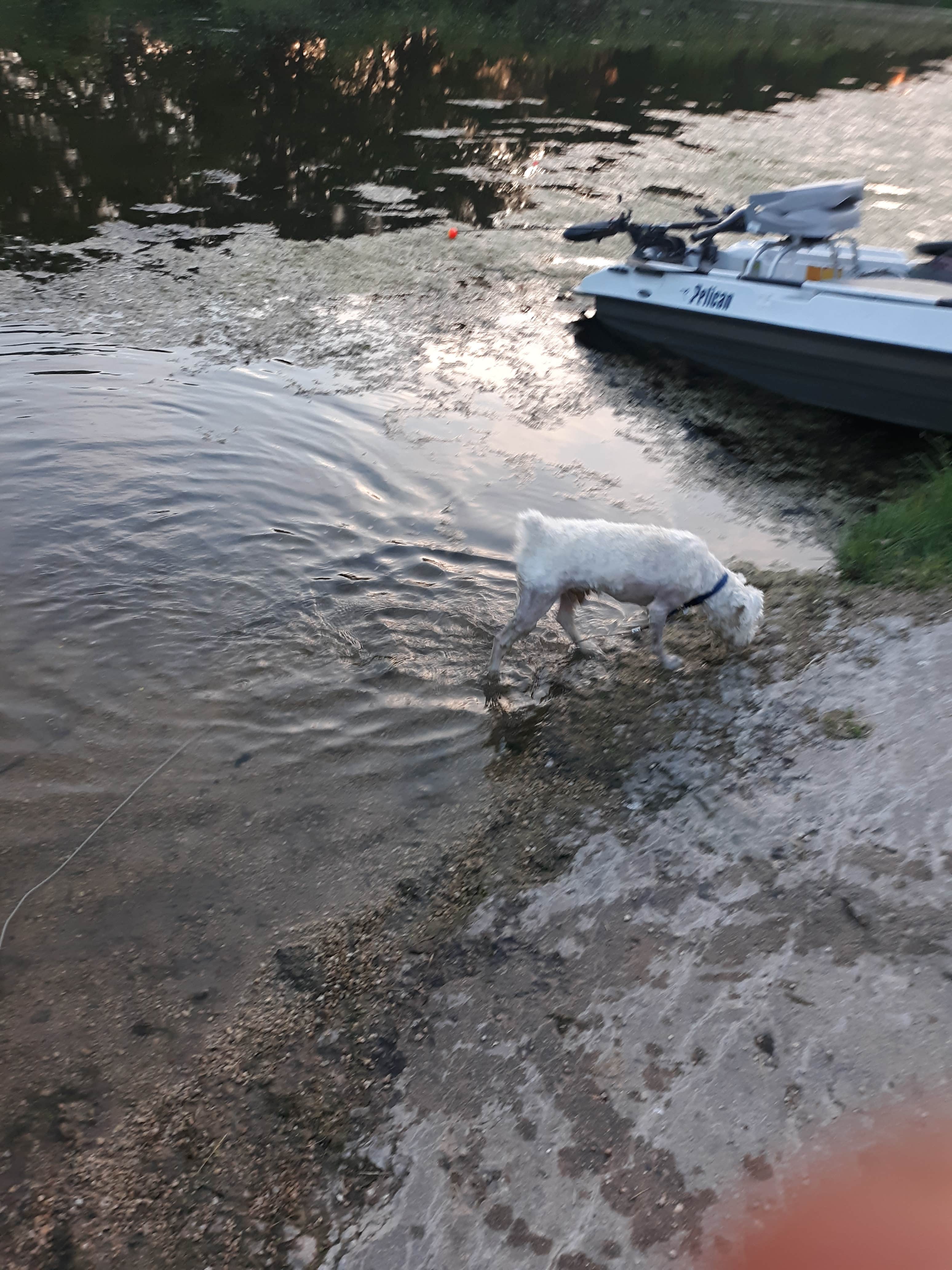 Jeny C.'s photo of camping with pets at Hennepin Canal Parkway State Park Campground near Brimfield, IL