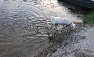 Jeny C.'s photo of camping with pets at Hennepin Canal Parkway State Park Campground near Morrison, IL