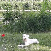 Review photo of Hennepin Canal Parkway State Park Campground by Jeny C., June 4, 2021