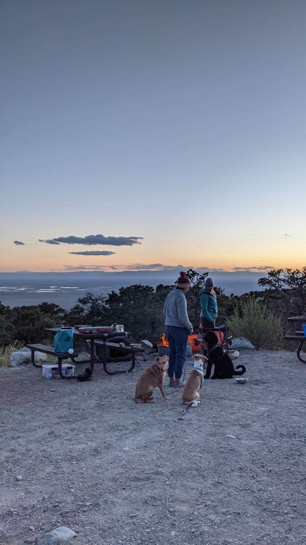 Marie W.'s photo of camping with pets at Zapata Falls Campground near Antonito, CO