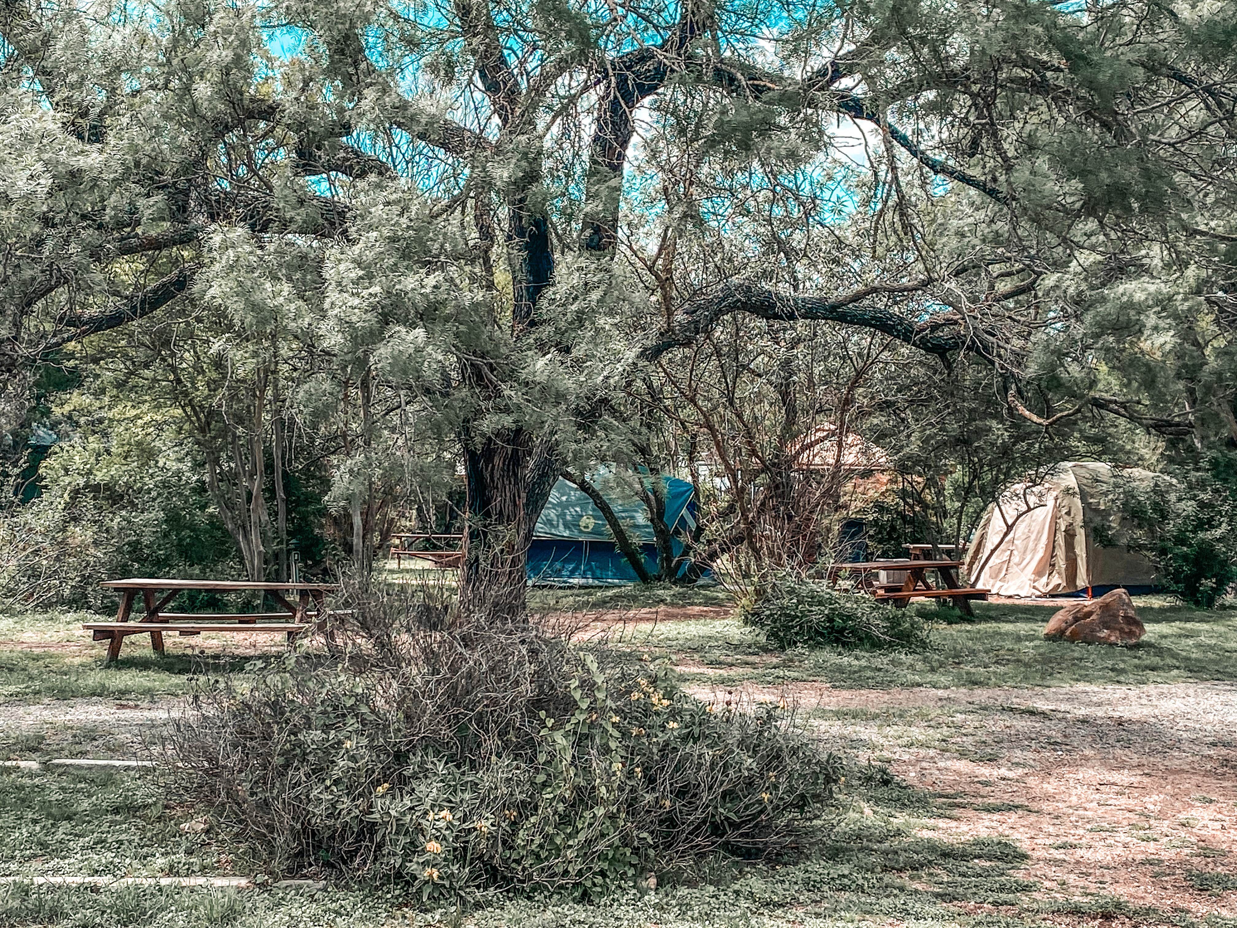 Christina's photo at Yogi Bear's Jellystone Park in Fredericksburg Wine Country near Stonewall, TX